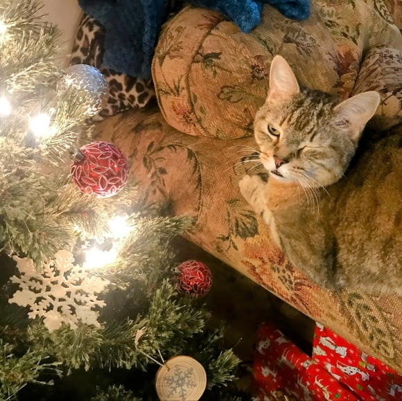 🚂🎀 Welcome 🎄🌟 - Picture 3 of 3